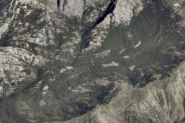 Forêt d'Aïtone